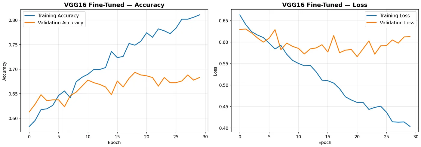 Training and validation curves for the fine-tuned VGG16 model